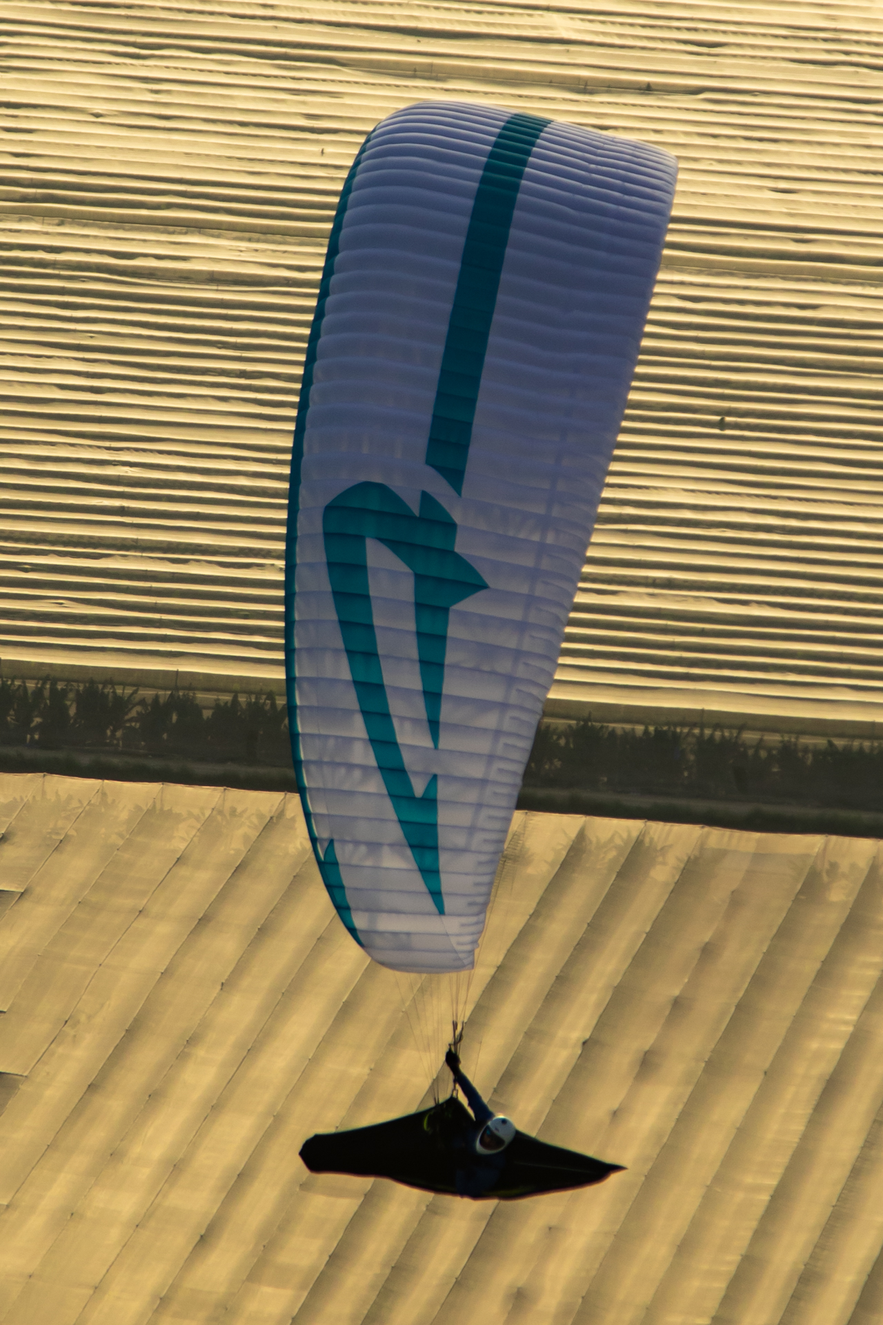 Apco Nestra Light - Bild 5