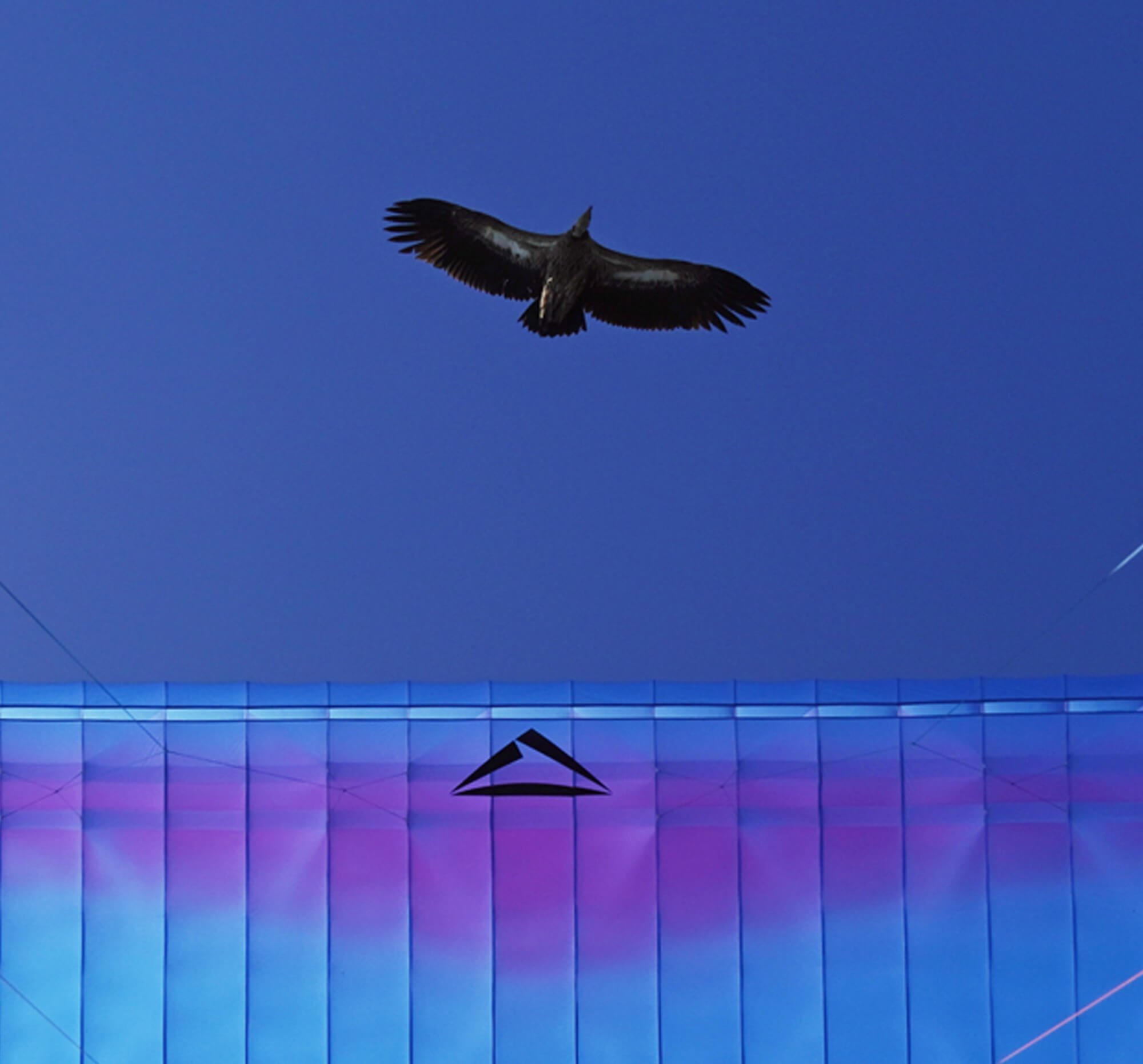 Flow Mystic - Bild 7