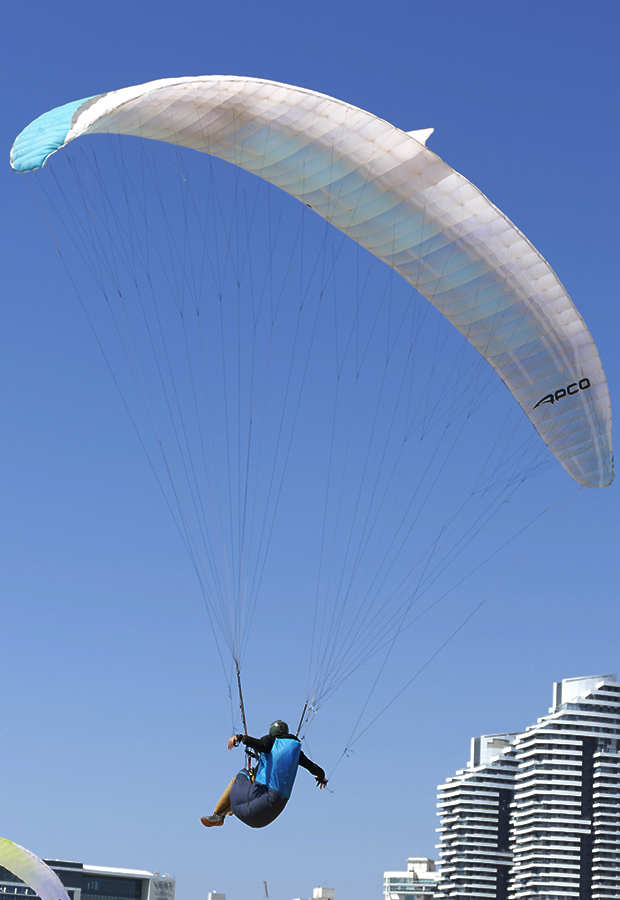 Apco Bunny Hop - Bild 11
